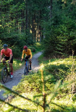 Zwei Radfahrer mit Gravelbike auf einem Trail am Rennsteig im Thüringer Wald
